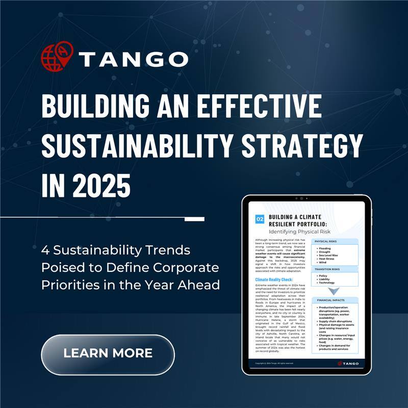 Social_Building a Sustainability Strategy in 2025